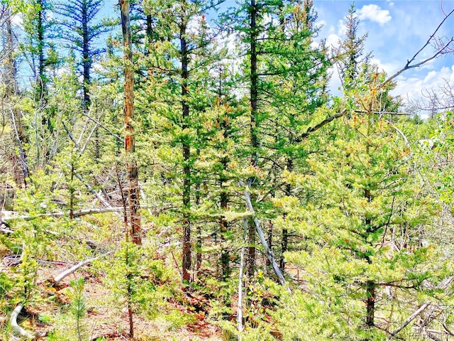 224 Apache Trl, Como, CO 80432