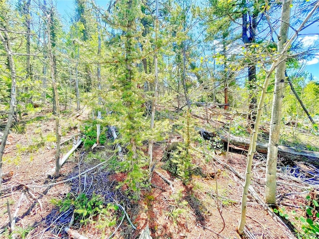 224 Apache Trl, Como, CO 80432