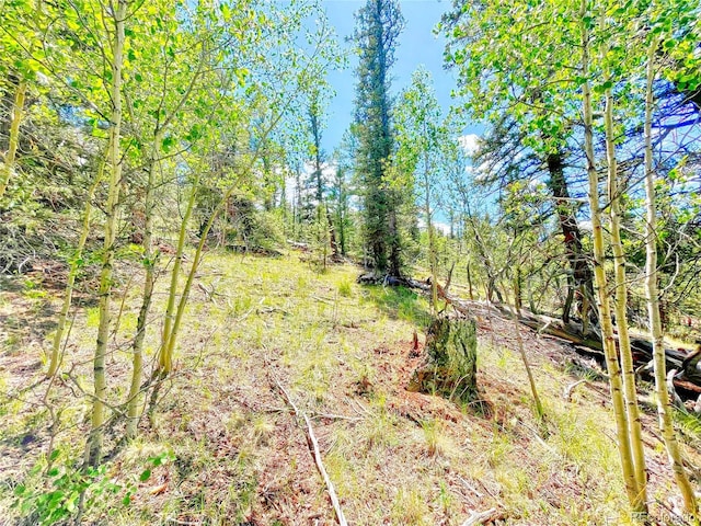 224 Apache Trl, Como, CO 80432
