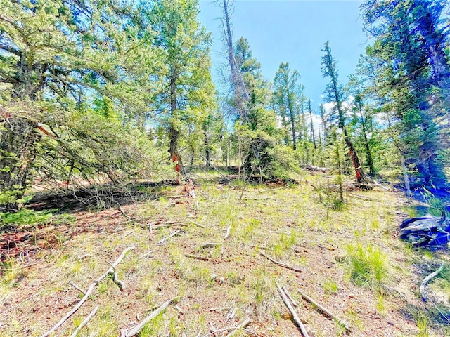 224 Apache Trl, Como, CO 80432