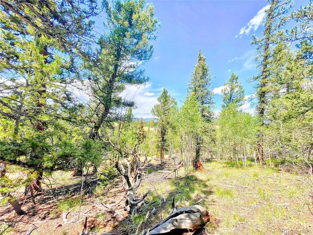 224 Apache Trl, Como, CO 80432
