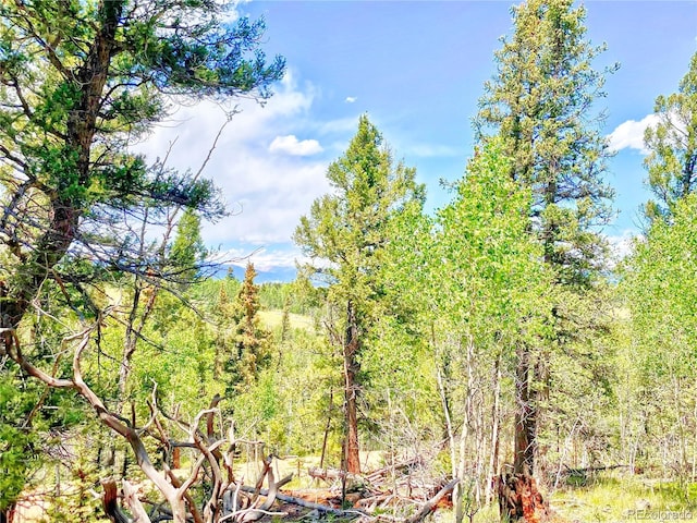 224 Apache Trl, Como, CO 80432
