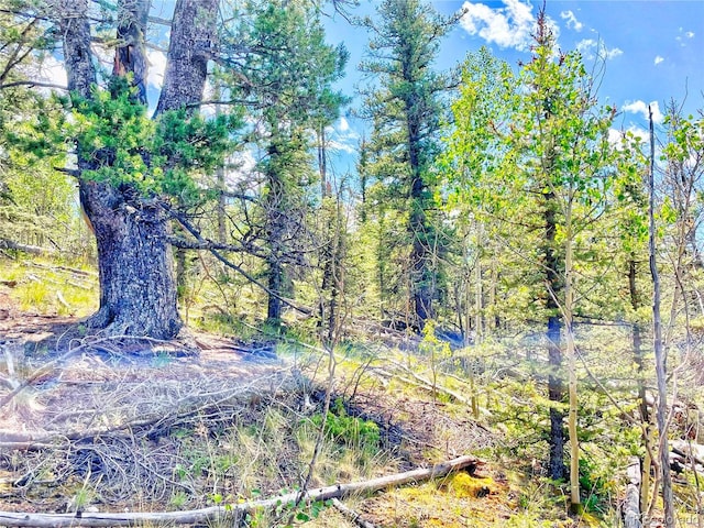224 Apache Trl, Como, CO 80432