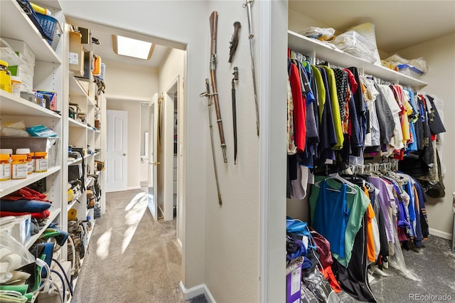 332 Battlement Creek Trl, Parachute, CO 81635 - walk in closet featuring carpet floors