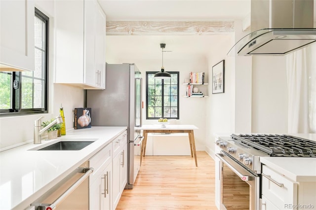 1300 N Glencoe St, Denver, CO 80220 - kitchen featuring exhaust hood, stainless steel appliances, plenty of natural light, and light wood-style flooring