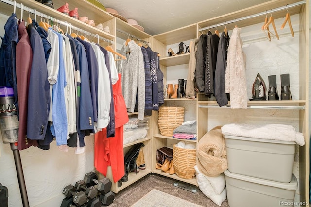 1300 N Glencoe St, Denver, CO 80220 - spacious closet featuring carpet
