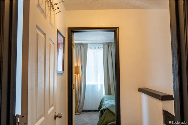 hall with a textured ceiling and carpet floors