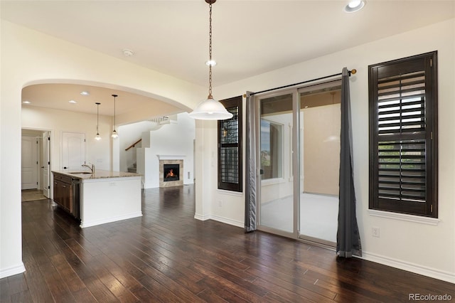 interior space featuring sink and dark wood-type flooring