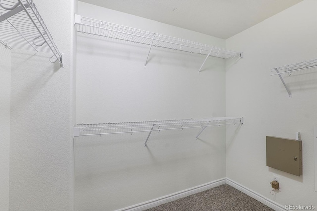 spacious closet with carpet flooring