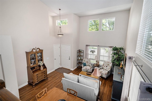 735 Poppy Pl, Highlands Ranch, CO 80129 - living area featuring a high ceiling and wood finished floors