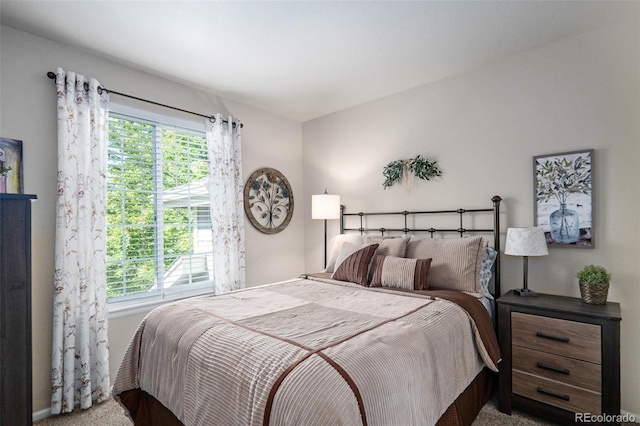 735 Poppy Pl, Highlands Ranch, CO 80129 - bedroom featuring carpet flooring