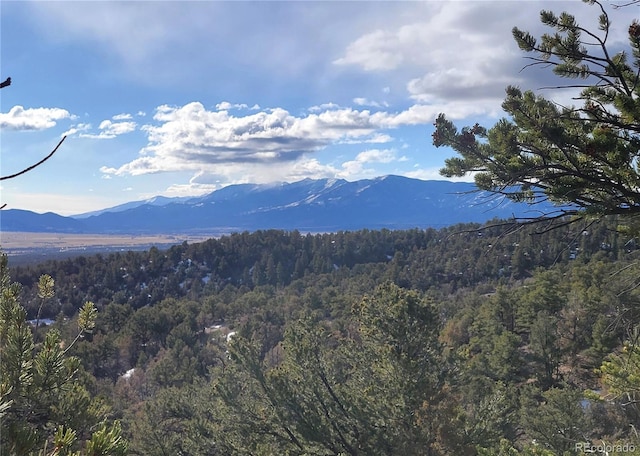 Listing photo 3 for 12904 County Road 258a, Salida CO 81201