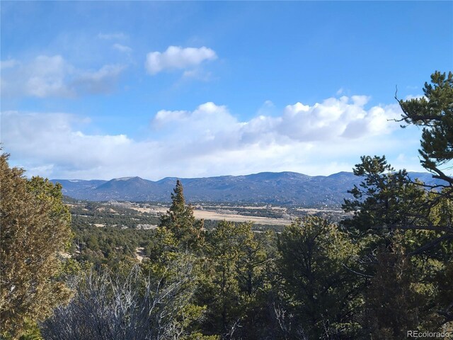 12904 County Road 258a, Salida, CO 81201 - photo 4