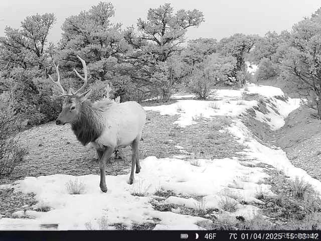 12904 County Road 258a, Salida, CO 81201 - photo 5