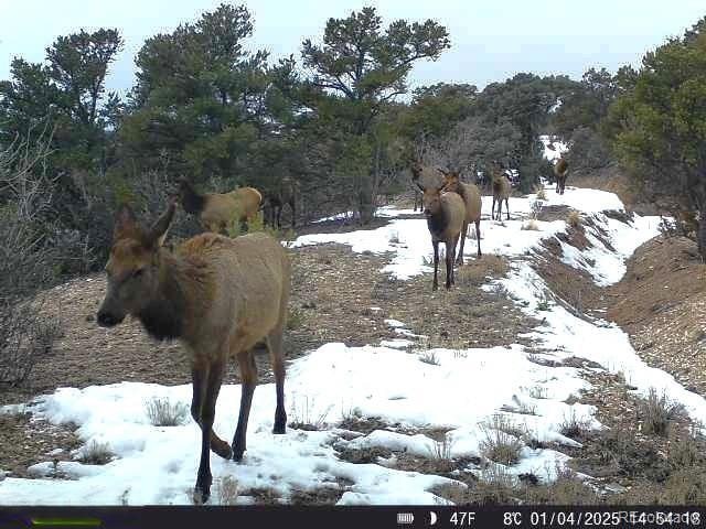 12904 County Road 258a, Salida, CO 81201 - photo 7