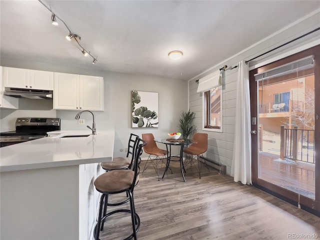 kitchen with light wood-style floors, a breakfast bar area, stainless steel electric range, under cabinet range hood, and a sink