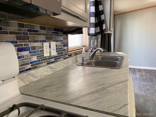 15758 Deerfield St, Sterling, CO 80751 - kitchen with crown molding, dark wood-type flooring, a sink, and decorative backsplash