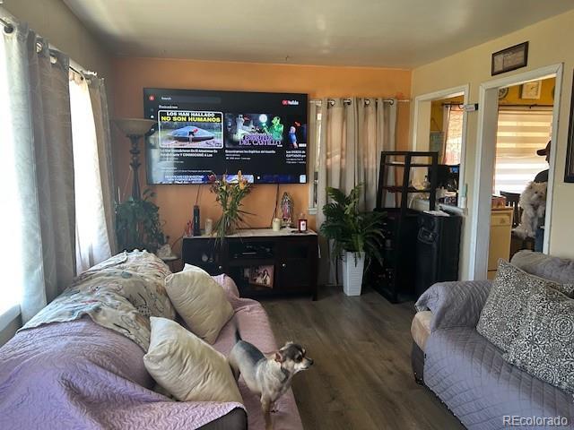 living room with hardwood / wood-style flooring