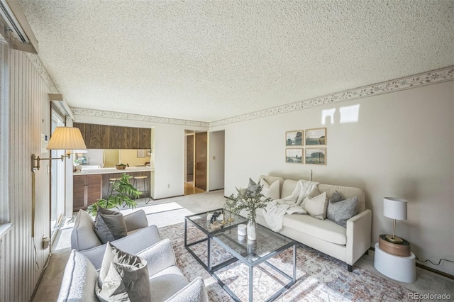 4474 S Vrain St, Denver, CO 80236 - living room featuring a textured ceiling and light colored carpet