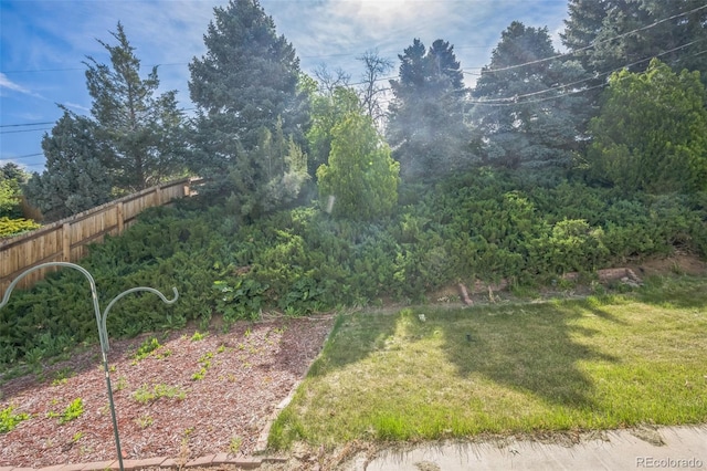 4474 S Vrain St, Denver, CO 80236 - view of yard