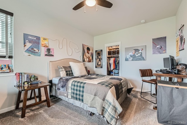 carpeted bedroom featuring a closet, ceiling fan, and a walk in closet