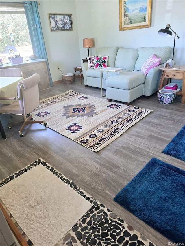 living room with wood-type flooring