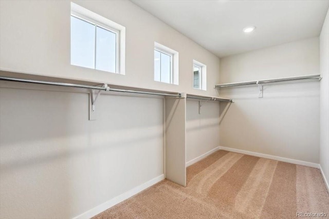 14366 Heritage Dr, Mead, CO 80504 - photo 24