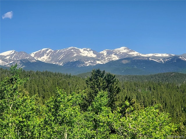 S Spring Gulch, Idaho Springs CO, 80452 land for sale