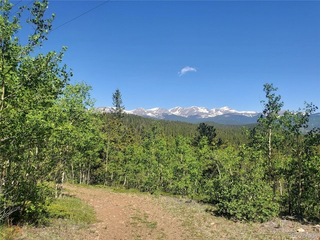 Listing photo 2 for S Spring Gulch, Idaho Springs CO 80452