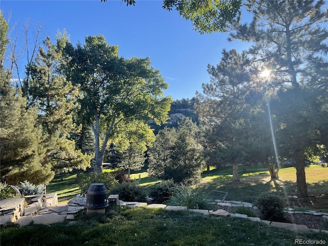 5904 Meadowbrook Dr, Morrison, CO 80465 - view of green lawn