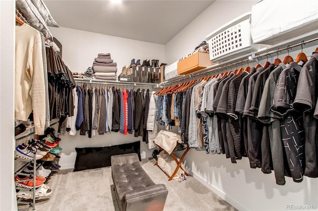 walk in closet featuring carpet flooring