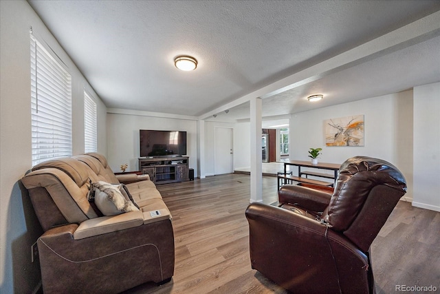 living room featuring hardwood / wood-style flooring and a textured ceiling