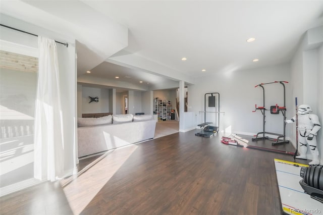 exercise room featuring wood-type flooring