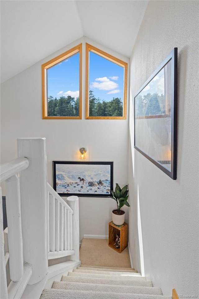 stairs featuring vaulted ceiling, a healthy amount of sunlight, and carpet floors