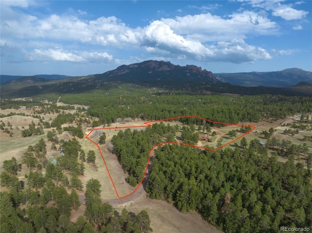 bird's eye view featuring a mountain view and a wooded view