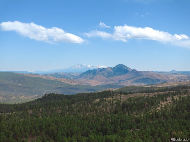 mountain view with a forest view
