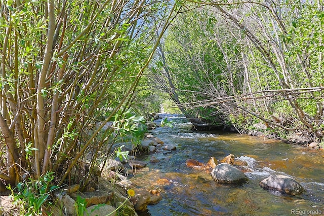 420 Quarzt Ln, Pitkin, CO 81241 - view of nature