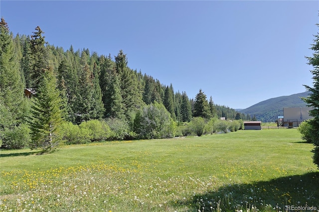 420 Quarzt Ln, Pitkin, CO 81241 - view of grassy yard featuring a mountain view