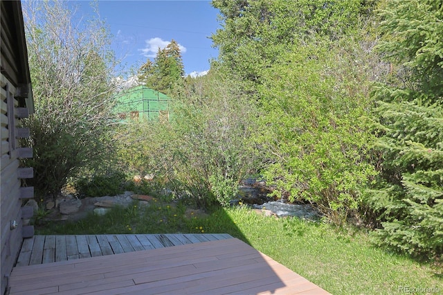 420 Quarzt Ln, Pitkin, CO 81241 - view of wooden terrace