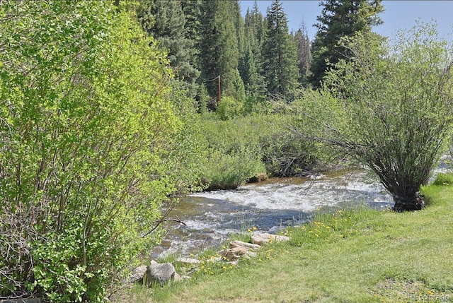 420 Quarzt Ln, Pitkin, CO 81241 - view of yard