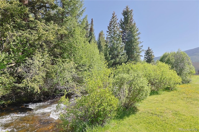 420 Quarzt Ln, Pitkin, CO 81241 - view of undeveloped land