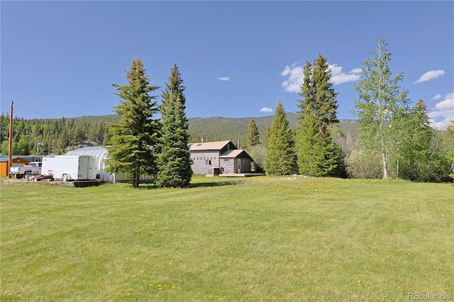 420 Quarzt Ln, Pitkin, CO 81241 - view of green lawn