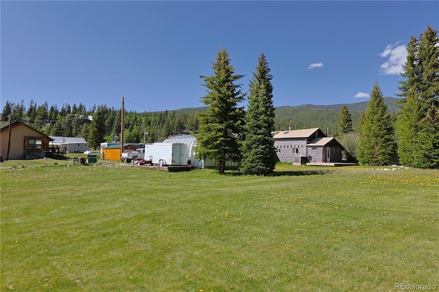 420 Quarzt Ln, Pitkin, CO 81241 - view of green lawn featuring a mountain view