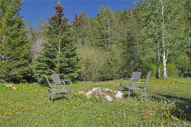420 Quarzt Ln, Pitkin, CO 81241 - view of yard with a forest view