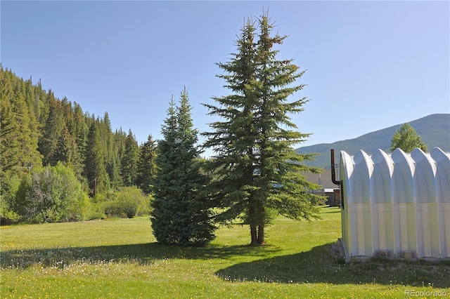 420 Quarzt Ln, Pitkin, CO 81241 - view of grassy yard featuring a mountain view