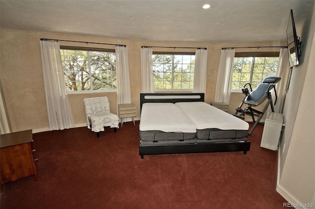 bedroom with dark carpet