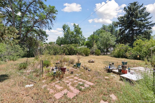 1832 S Saint Paul St, Denver, CO 80210 - view of yard