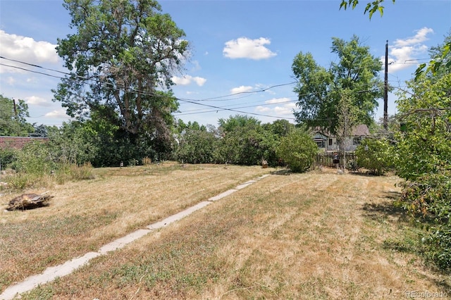 1832 S Saint Paul St, Denver, CO 80210 - view of green lawn