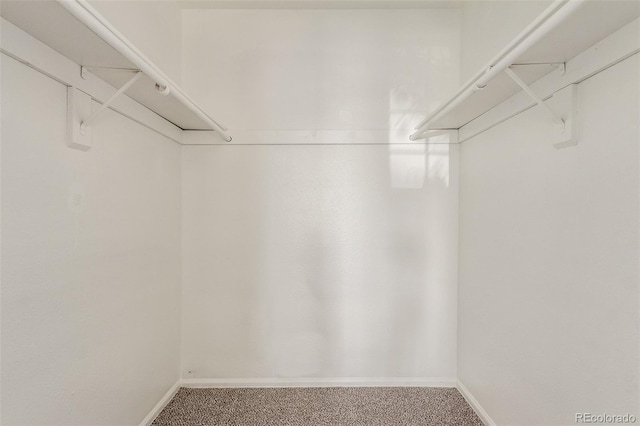 walk in closet with carpet