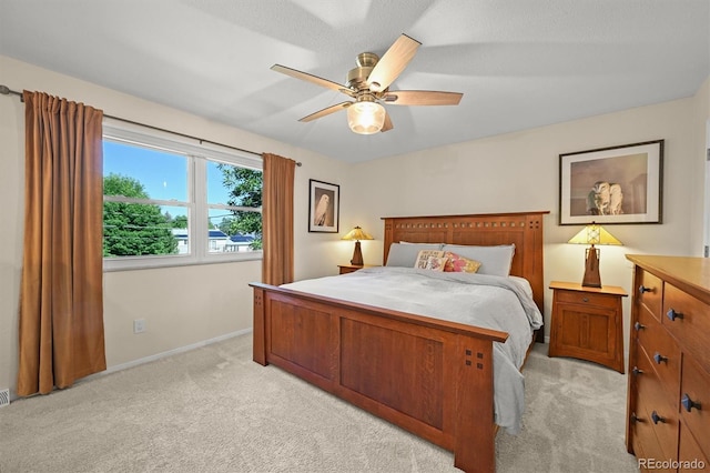 925 Daphne St, Broomfield, CO 80020 - photo 12